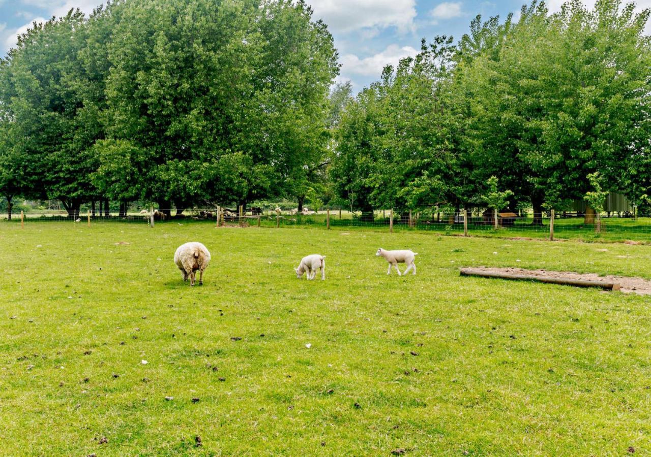 Roosters Rest Villa Beccles Eksteriør bilde